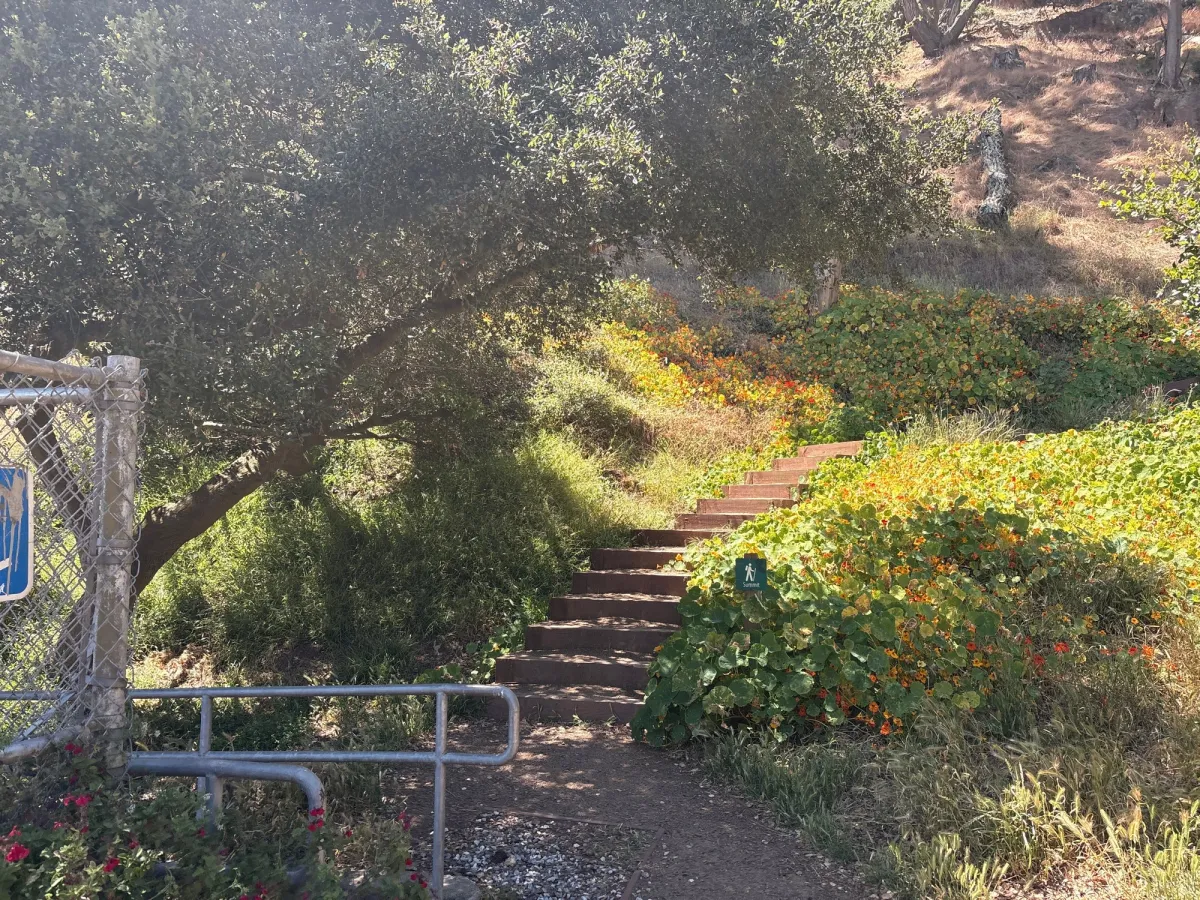 Trail up to Corona Heights, one of the best hikes in SF (of many)