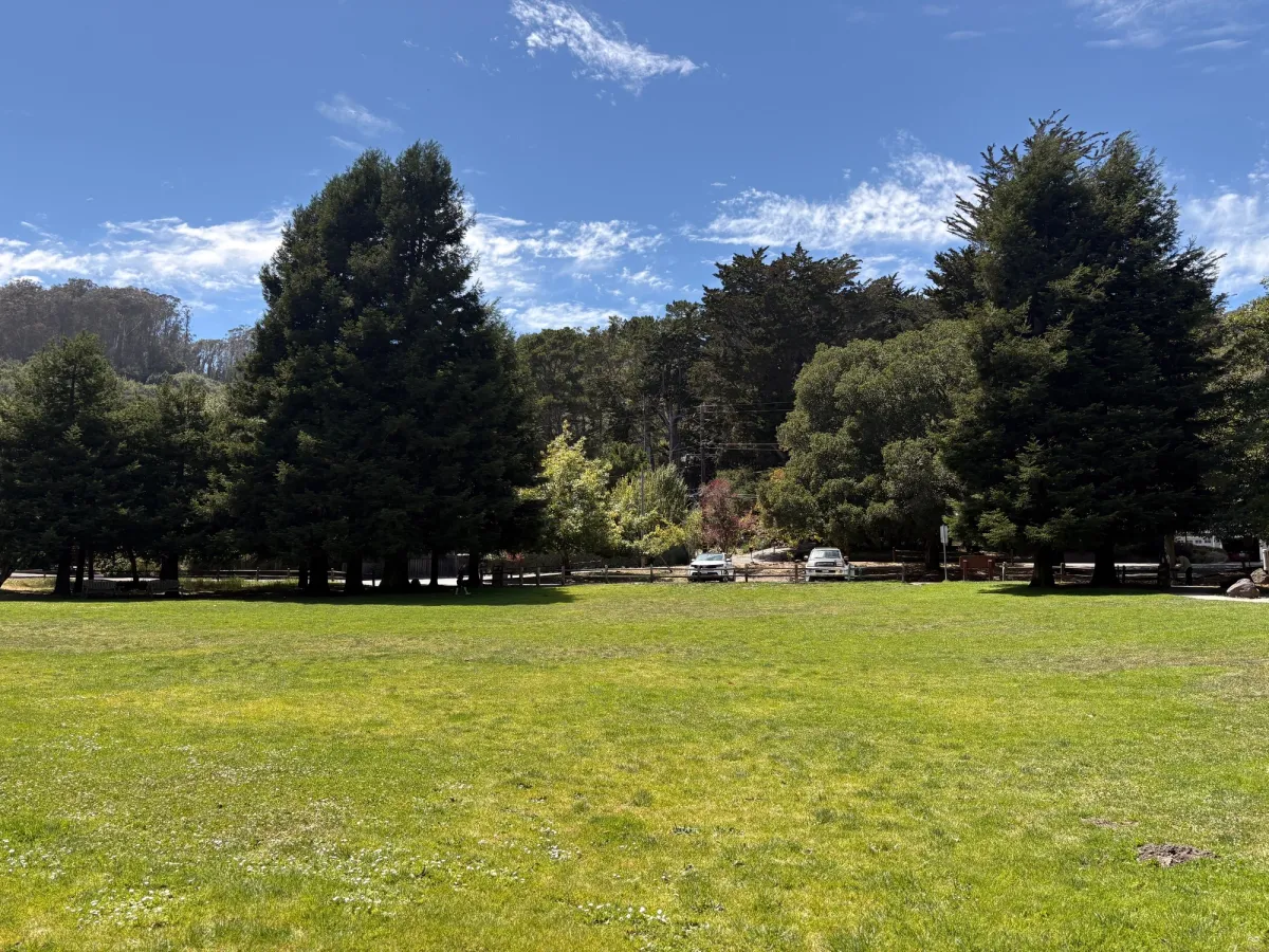 View of the parking lot