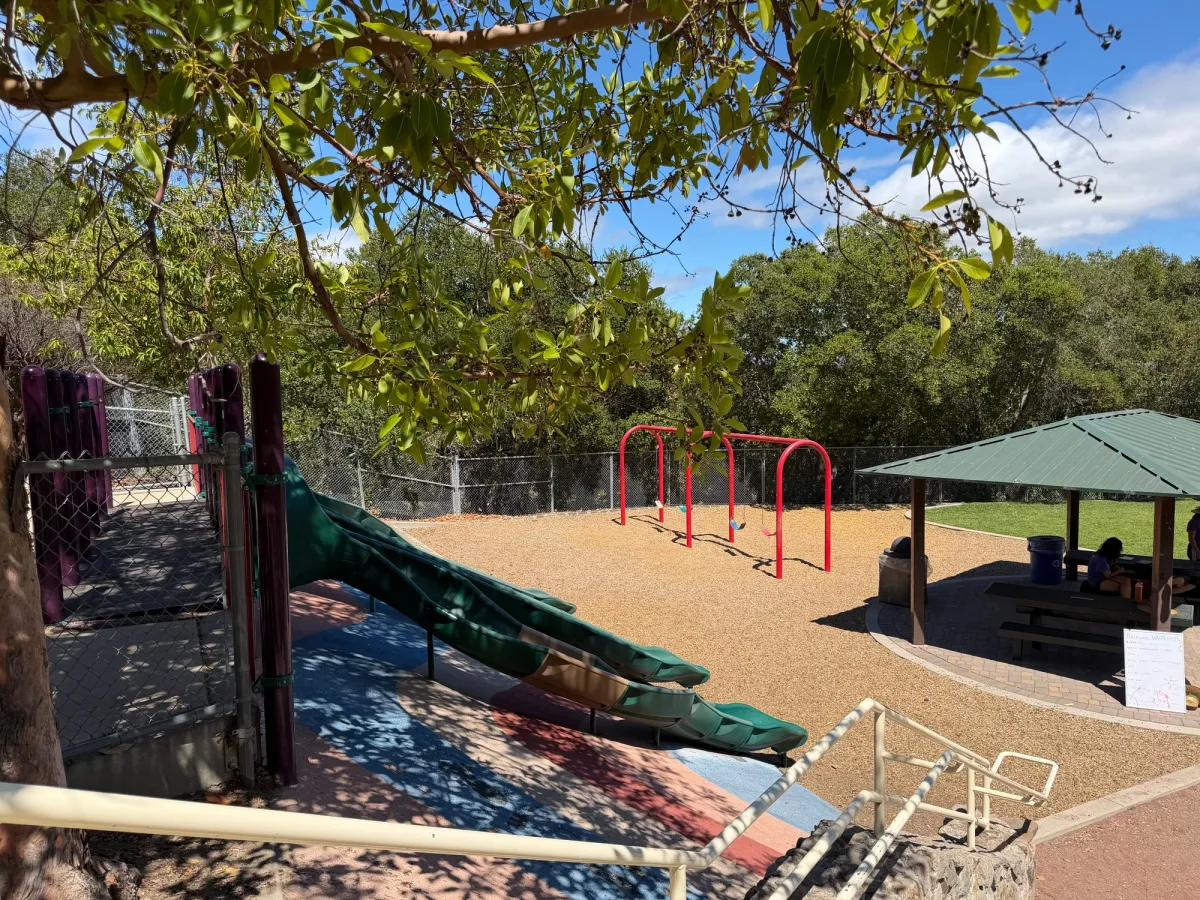 Big kid slides and swings