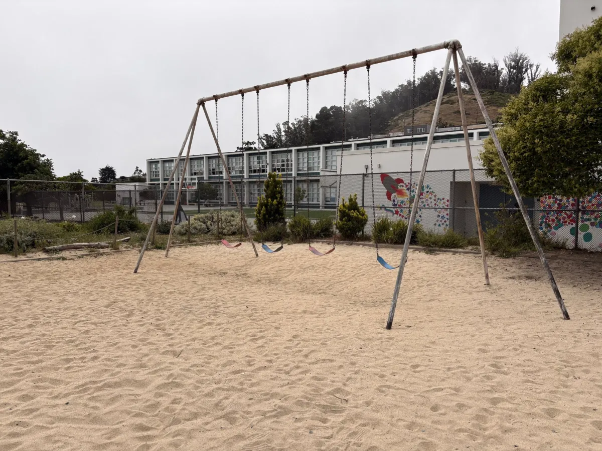 a generous length of chain for swings. Great for big kids