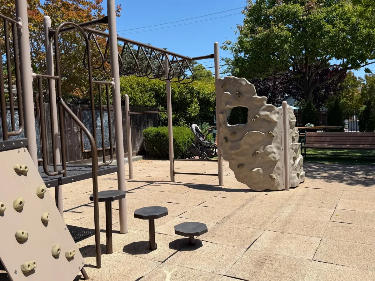 Monkey bars and rock climbing walls