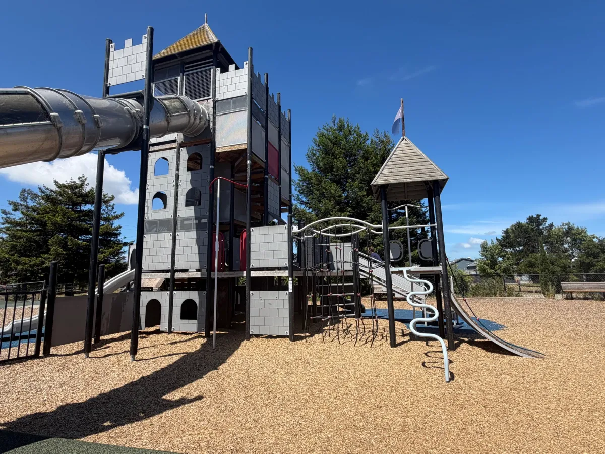 Castle play structure and climbing ropes for big kids