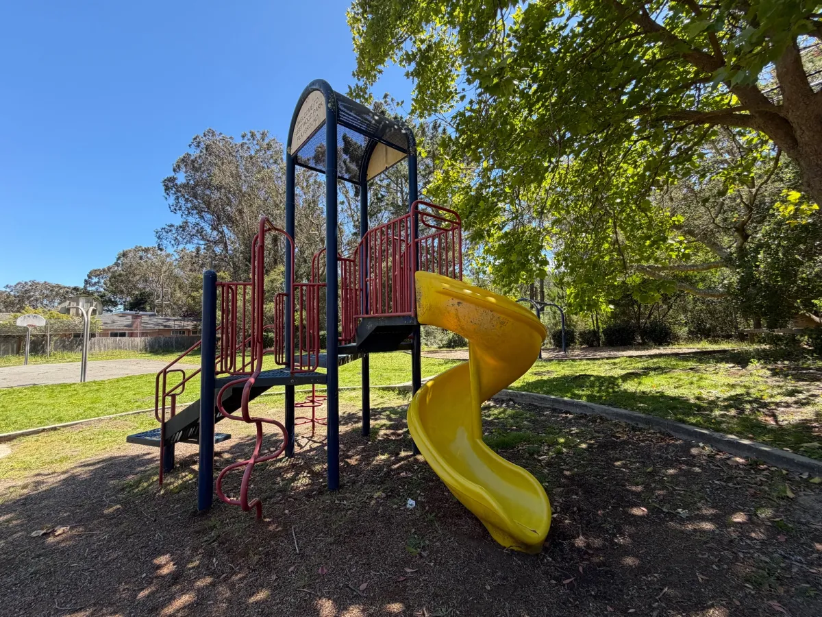 Technically a play structure, but it's just 1 slide. 