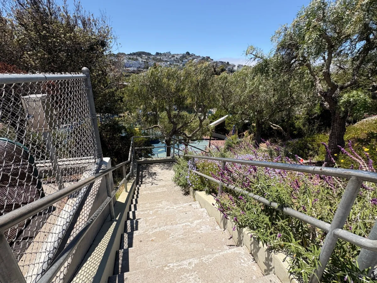 These are the stairs. They're quite steep but the view is beautiful