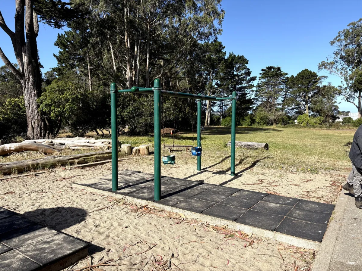 The only swing structure