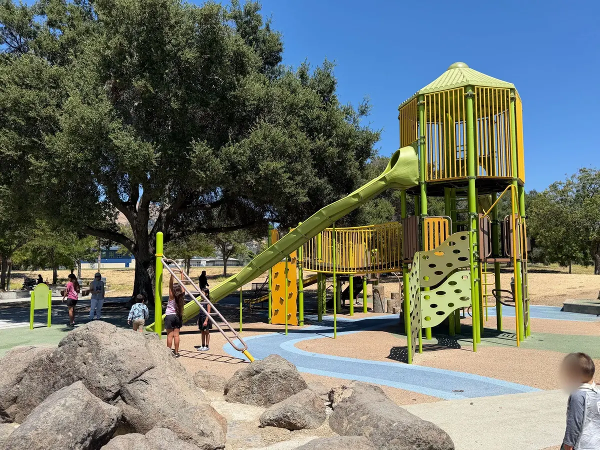 Tall slide accessible to big kids only by climbing to top level