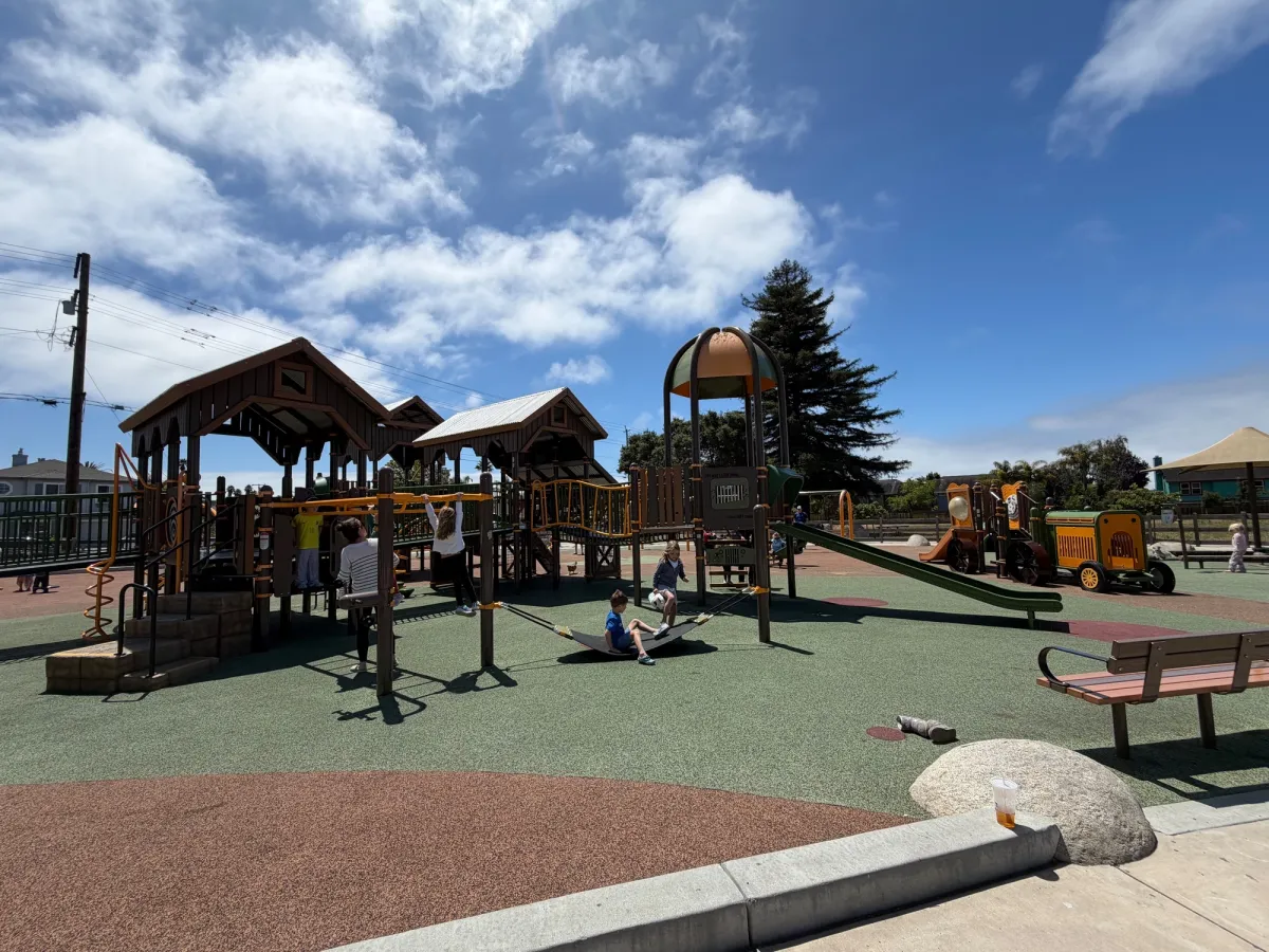 Play structure includes roller slides, hammock, monkey bars with shade coverings overhead