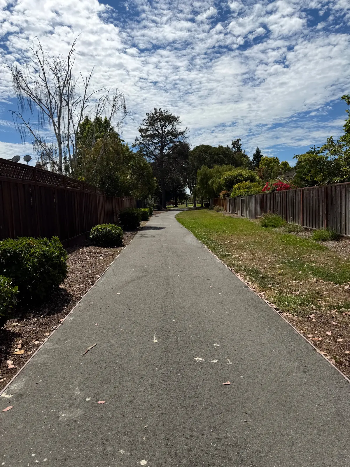 Pathway into the park (short walk)