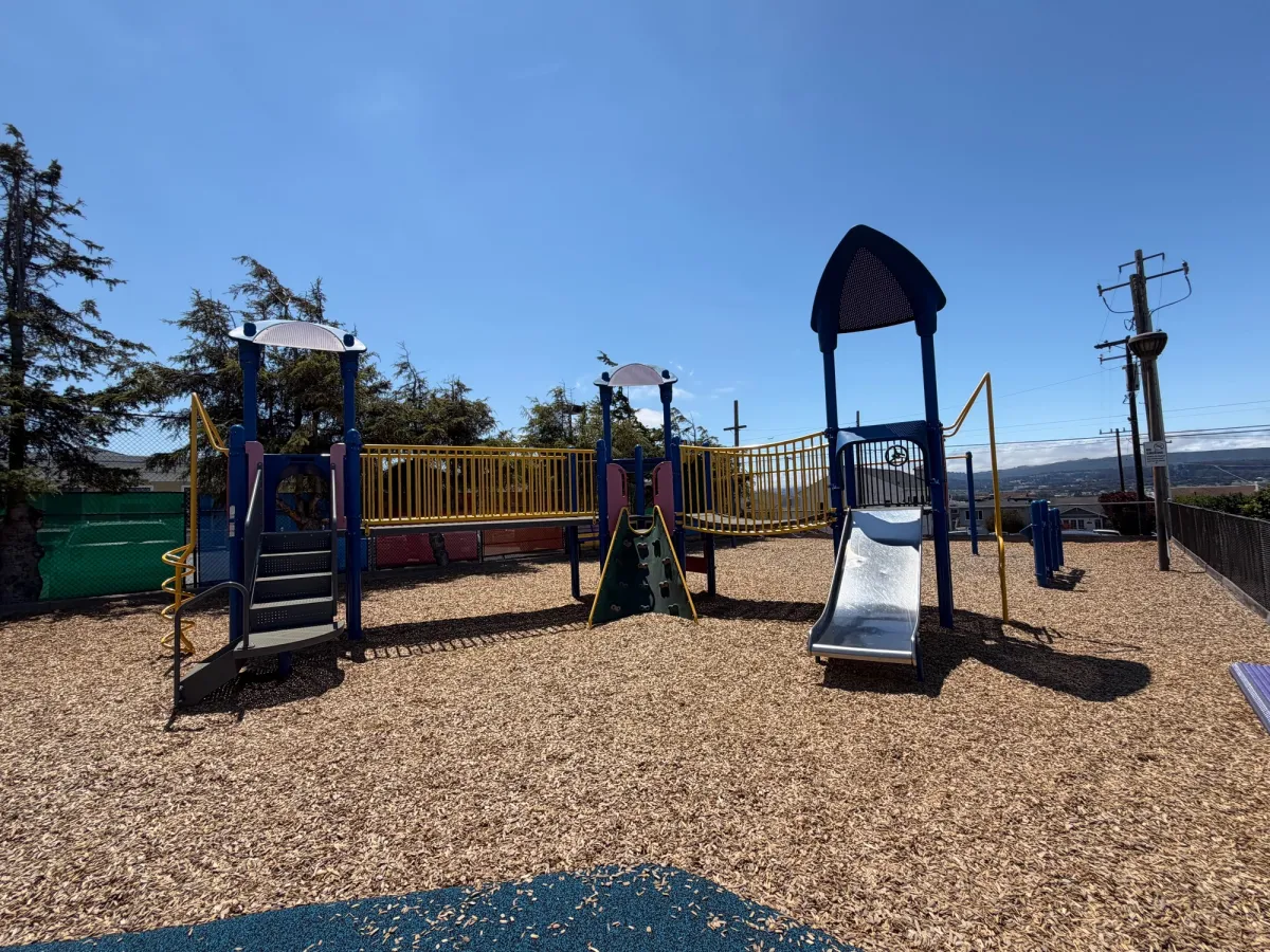 Back view of playstructure