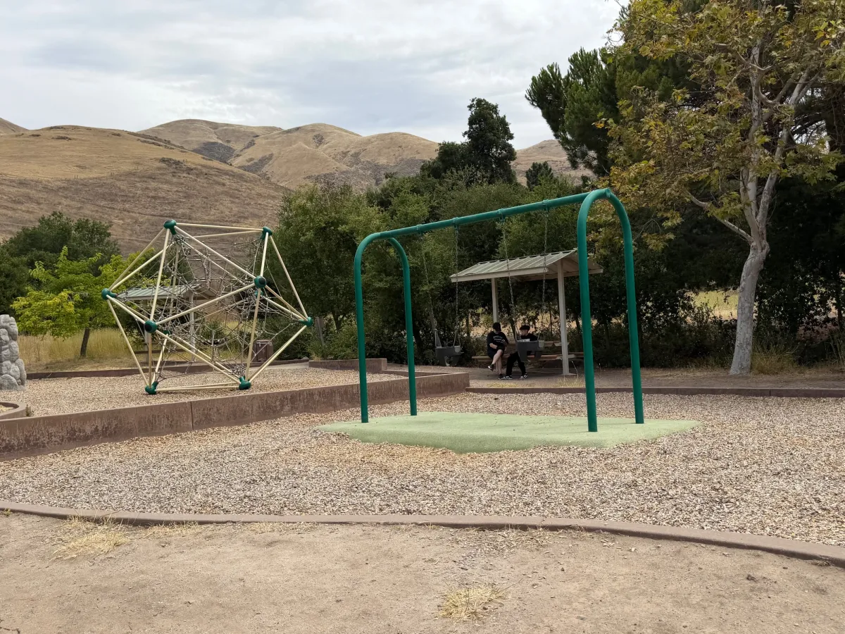 Climbing structure for bigger kids and baby swing set 