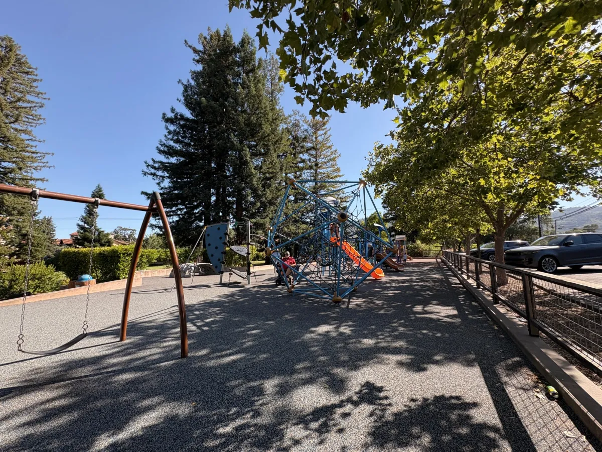 Climbing structure and Swings