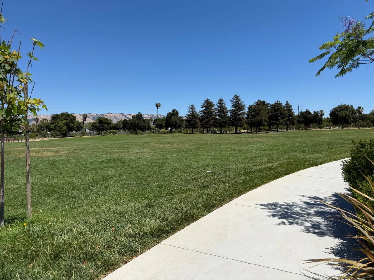 large grassy area for play