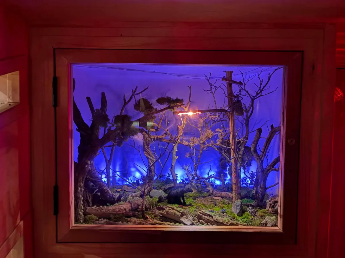 Another magical window