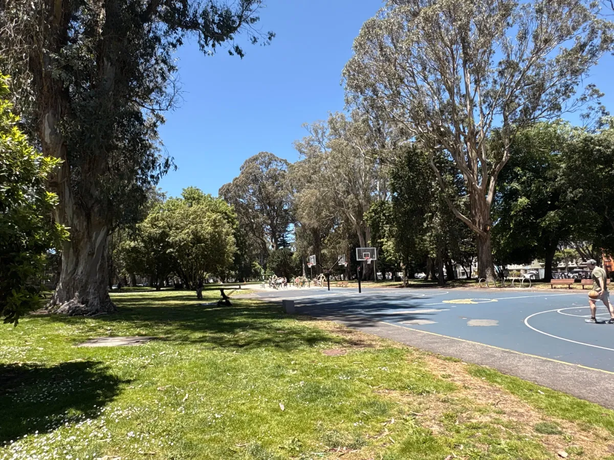 Basketball courts and the outdoor gym