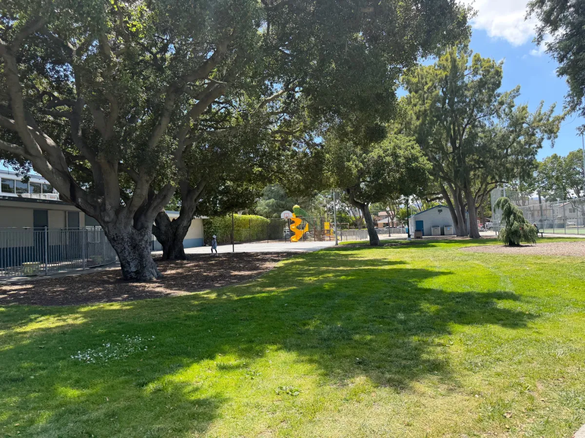 Large grassy field for picnics 