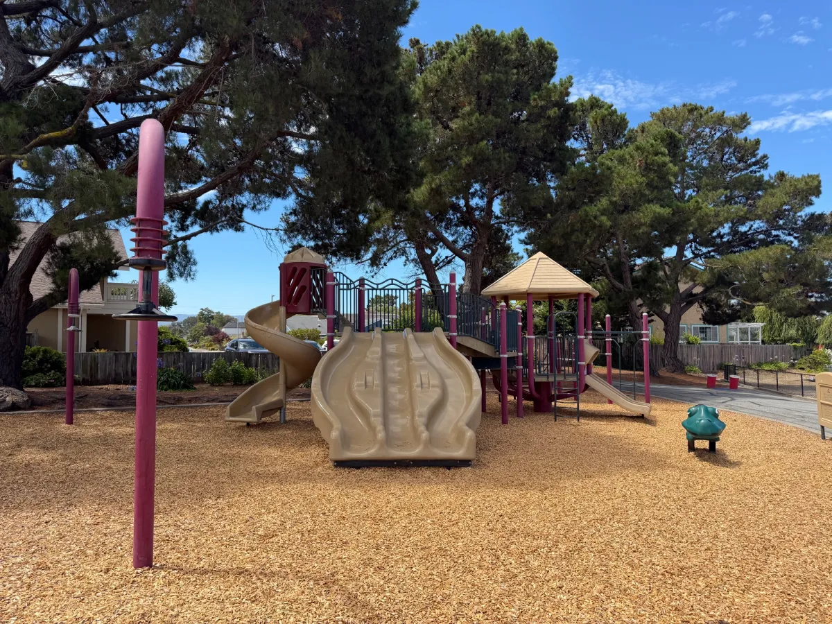 Overhead spinners and children play structure
