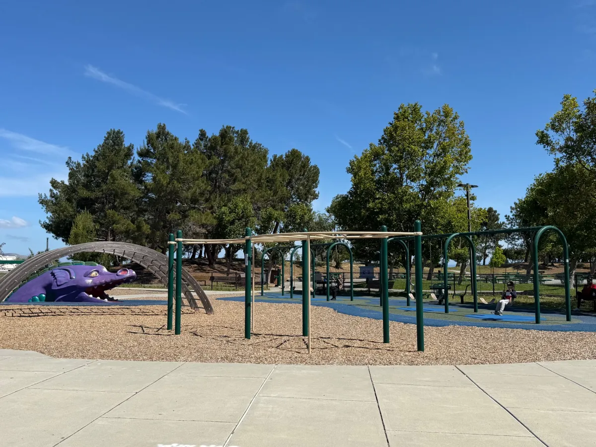 Big kid climbers, monkey bars, dragon, and full castle play structure