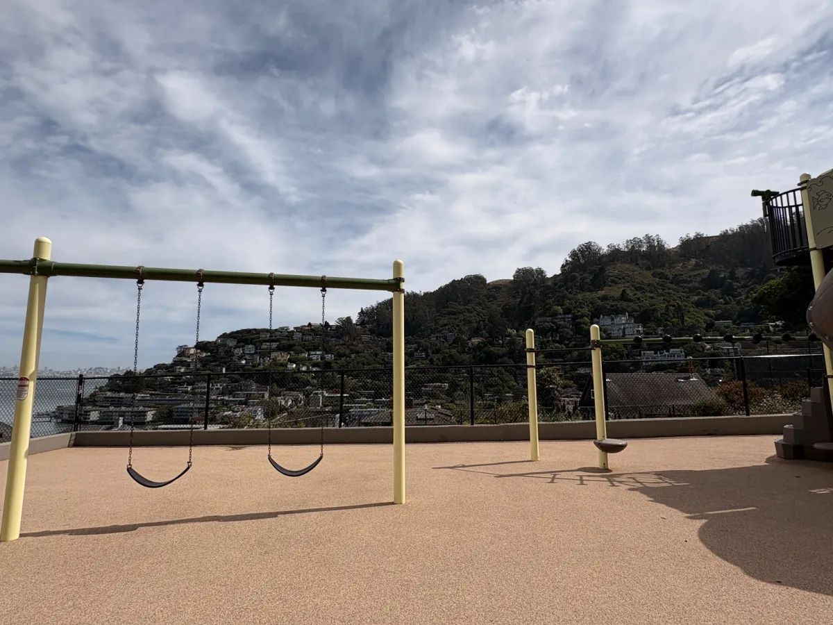 Swings and monkey bars