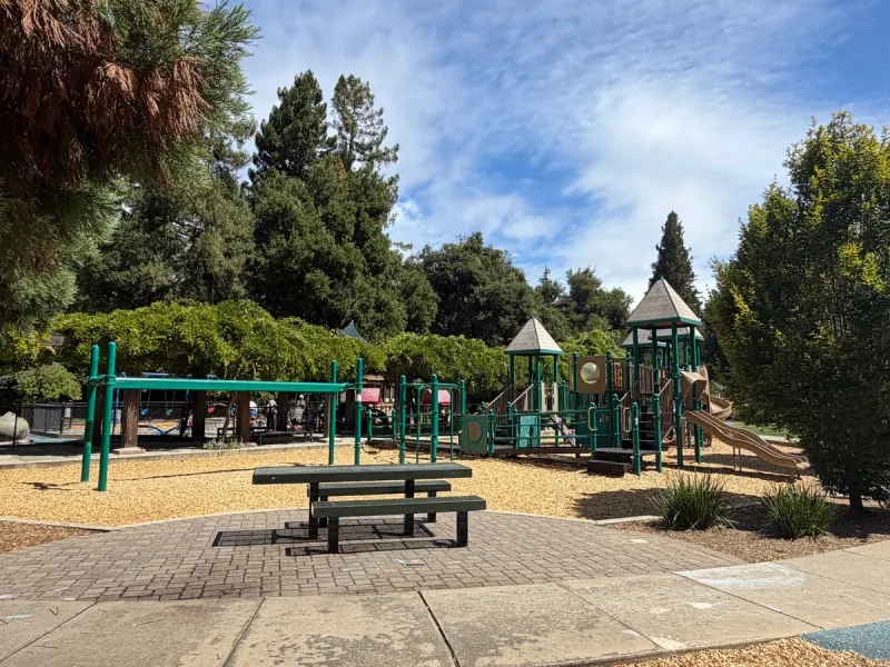 Big kid playground includes zipline and slides