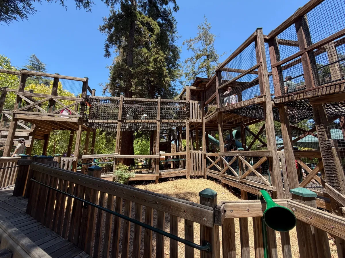Big kid play structure with rope bridges