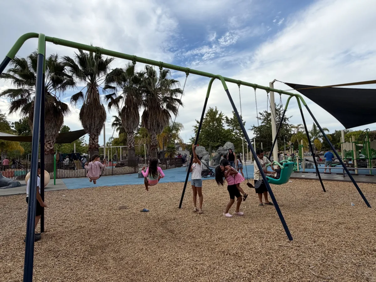 Swing variety - separate toddler swing set also available by toddler playground