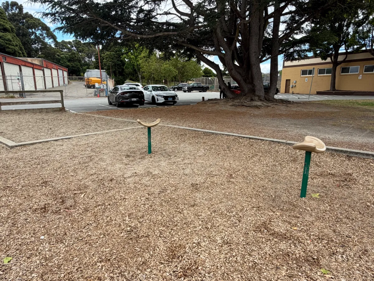 Spinners next to sand pit, and popular kids climbing tree in the back