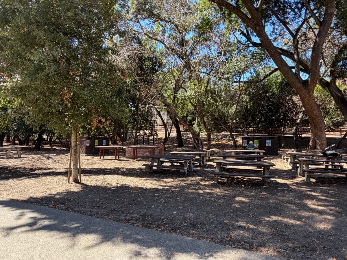 Picnic tables with bbq grills