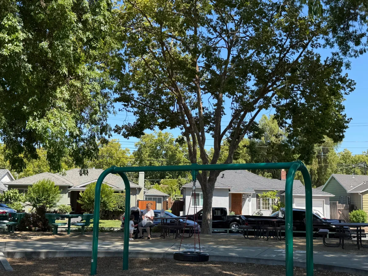 Tire swing for the big kids