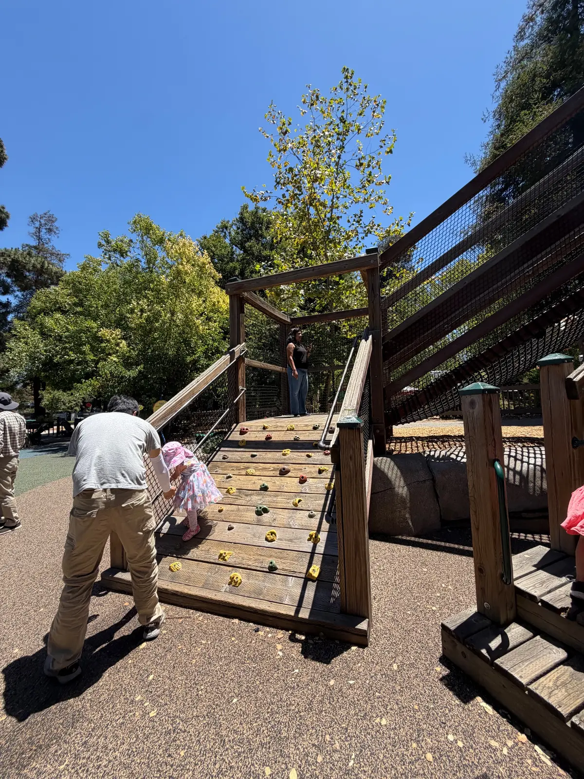 Rock wall to big kid play structure