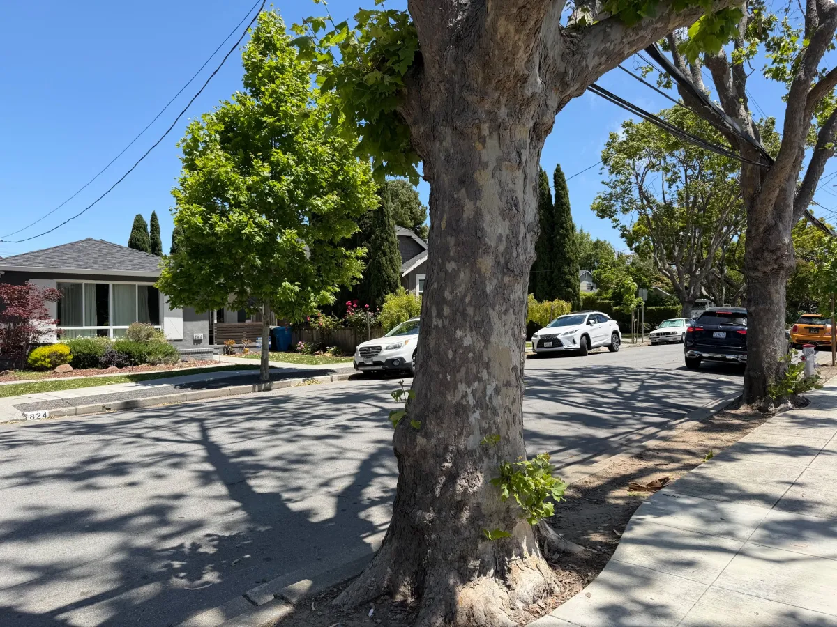 plenty of street parking available in a quiet residential neighborhood