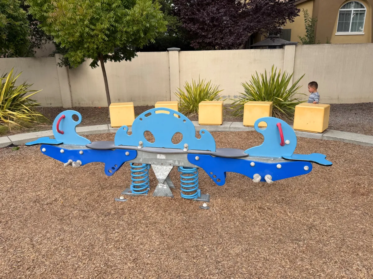 Seesaw is located outside the playground area next to the grass field