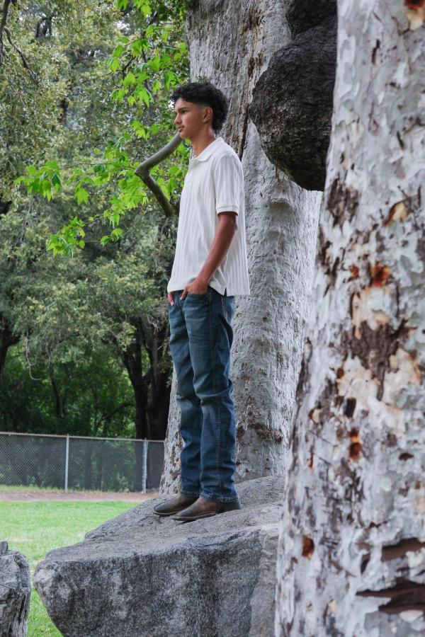 Teen standing on a rock beside a speckled sycamore trunk