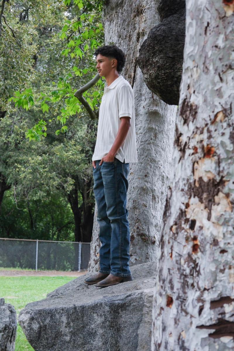 Teen standing on a rock beside a speckled sycamore trunk