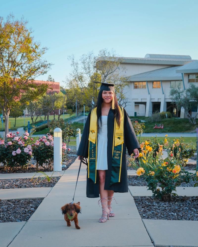 Graduate in cap and gown walking her dachshund down a garden path