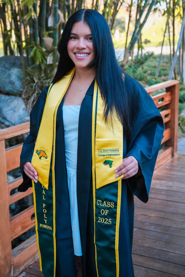 Graduate in her gown and gold stoles on a garden bridge