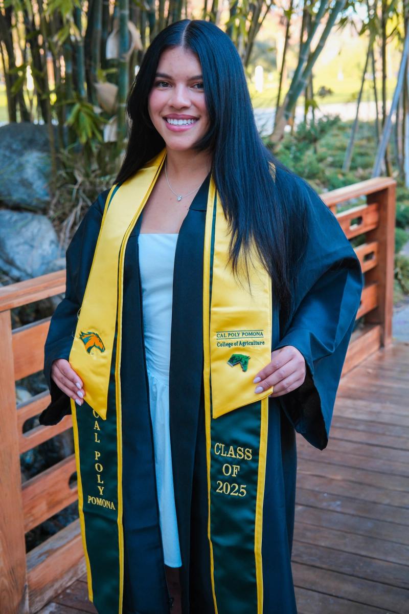 Graduate in her gown and gold stoles on a garden bridge
