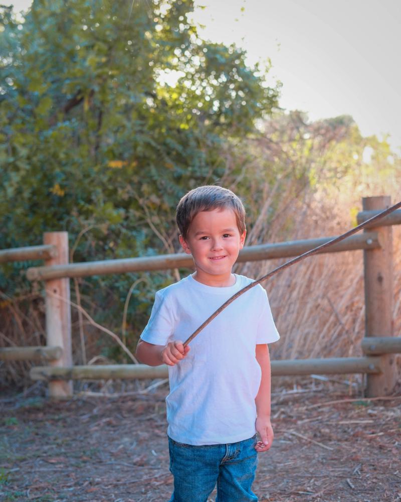 Little boy holding a long stick by a wooden fence