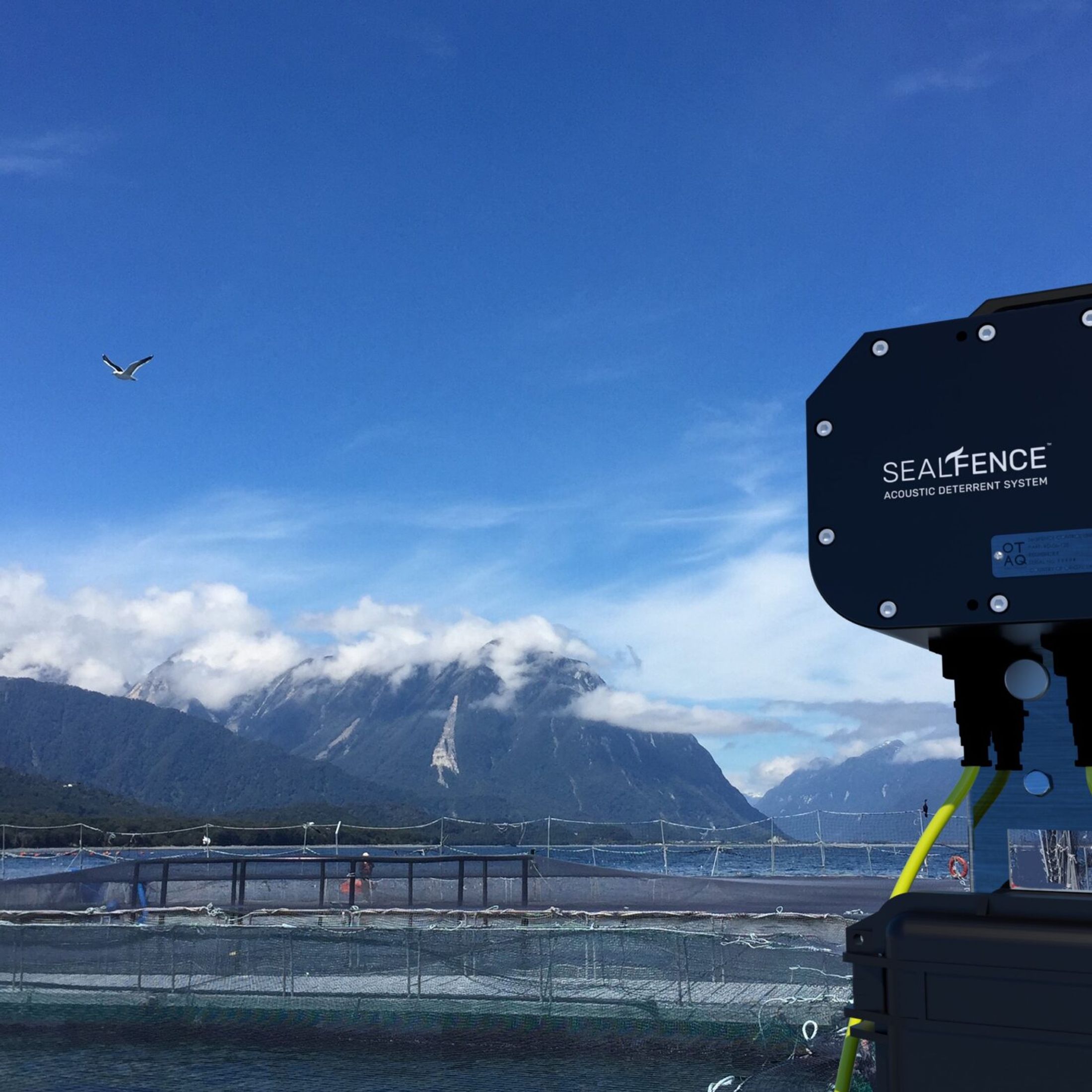 Norwegian Offshore Rental To Represent OTAQ Offshore in Norwegian Sector