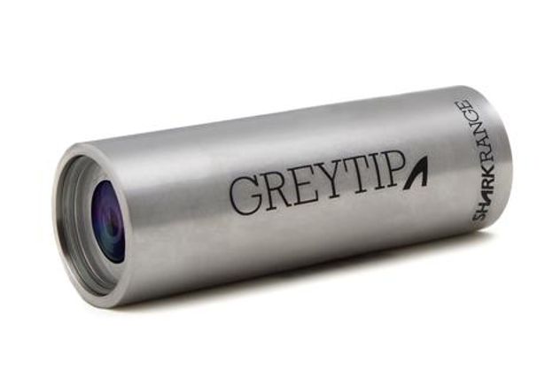 Greytip Shark Camera