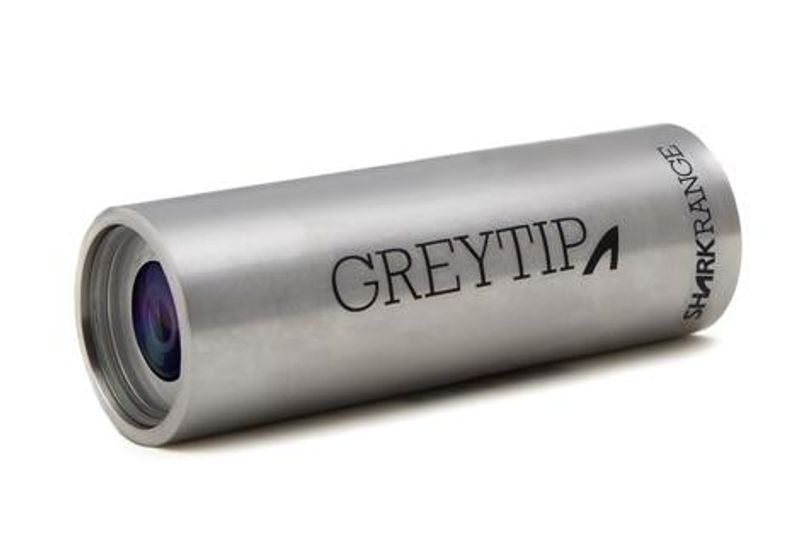 Greytip Shark Camera