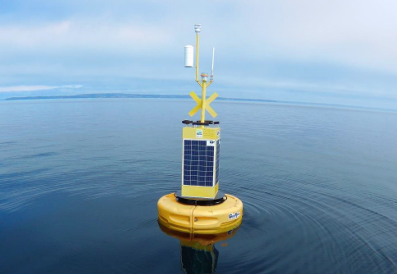 Fulmar Buoy