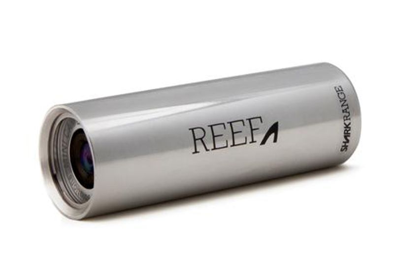 Reef Shark Camera