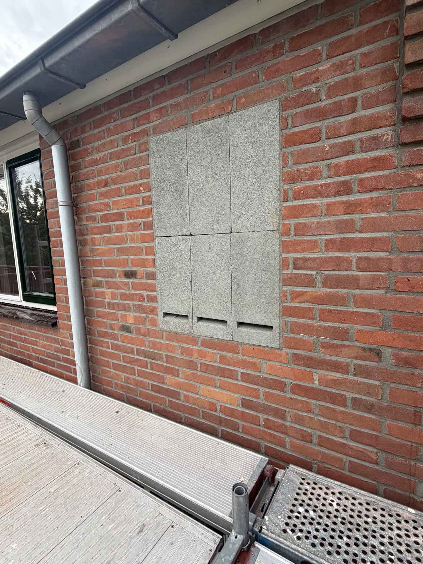 Vleermuisvrij maken