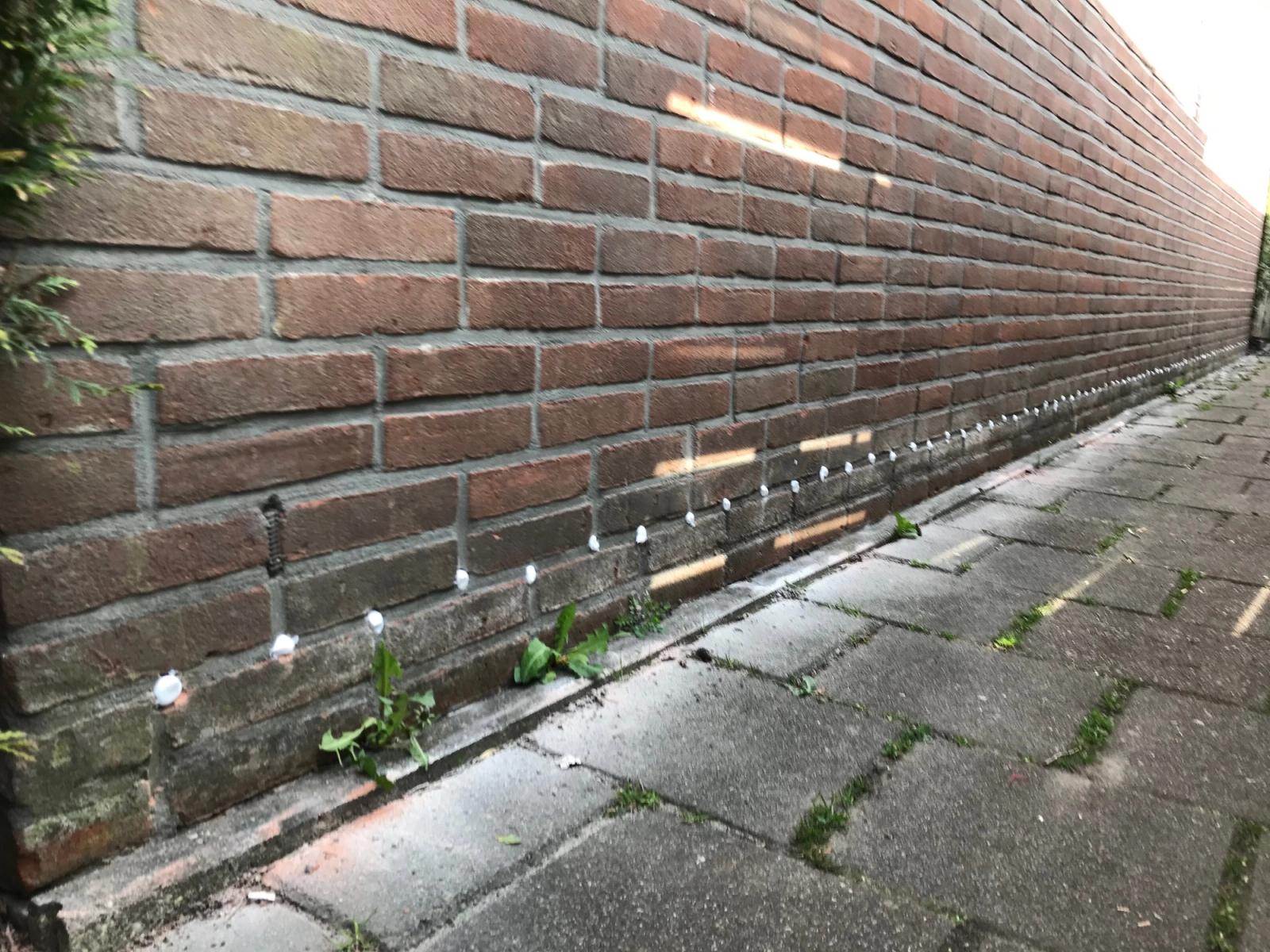 Schimmelvorming in huis
