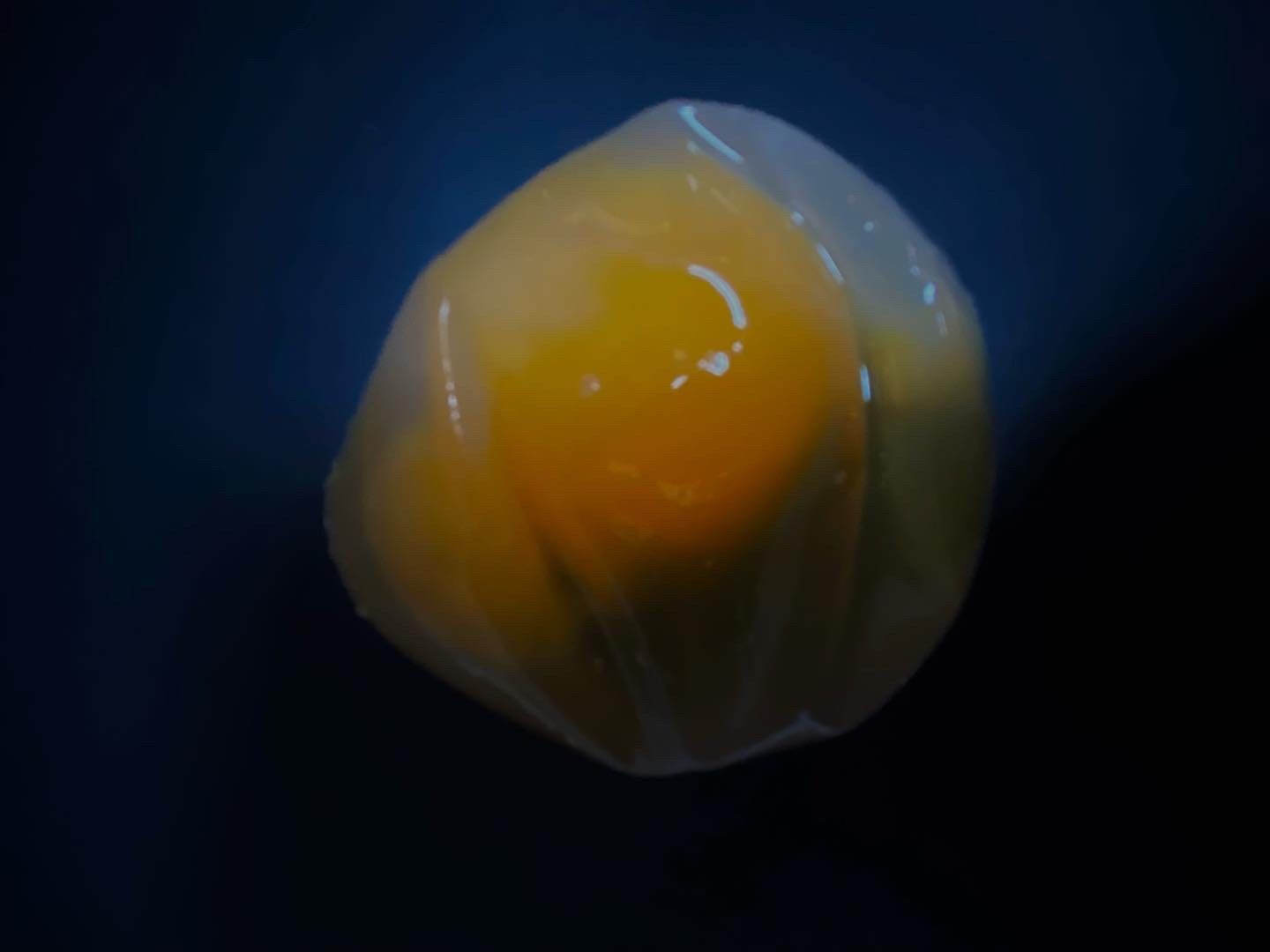 Alien Jello Egg