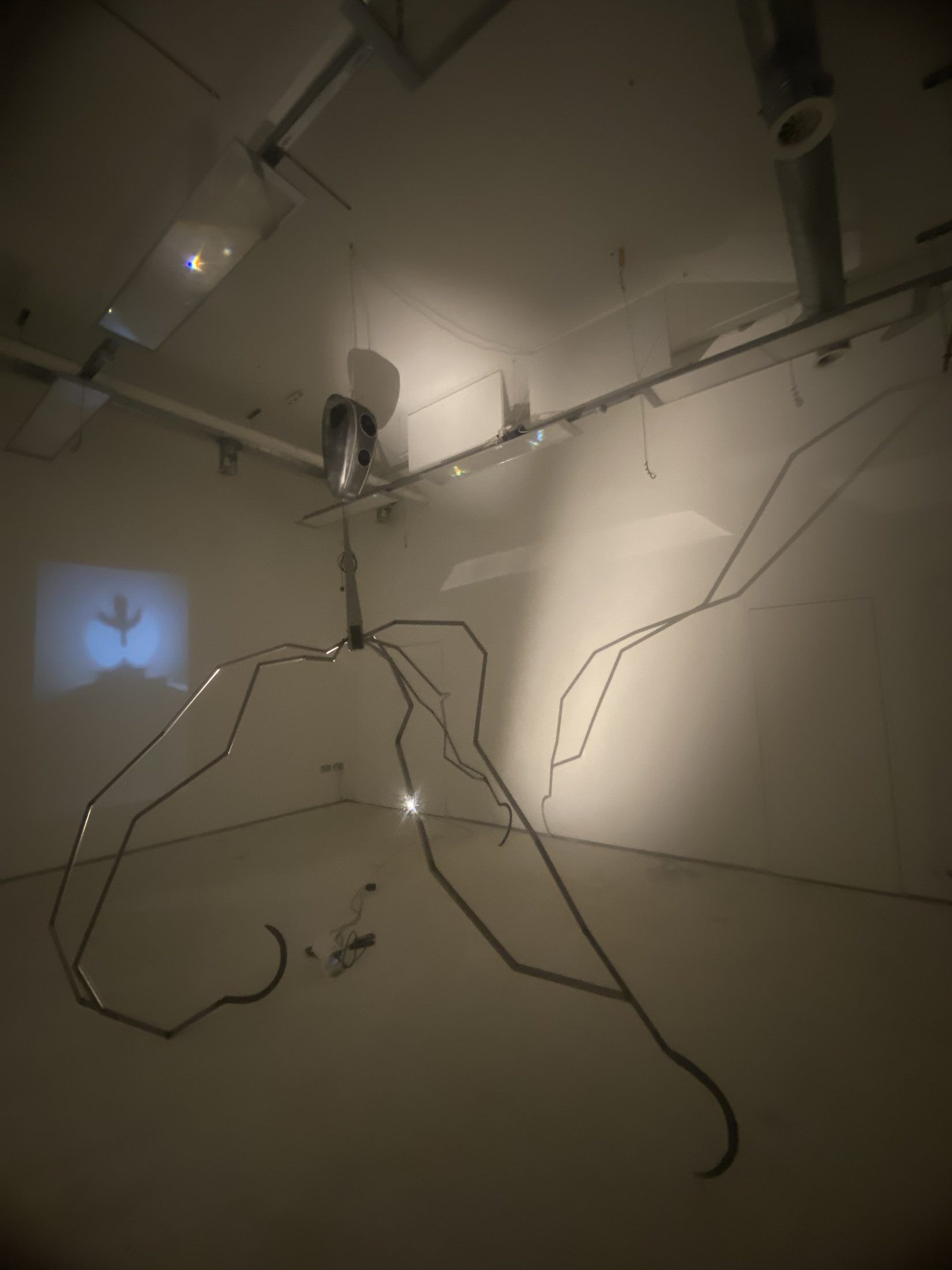 Installation view