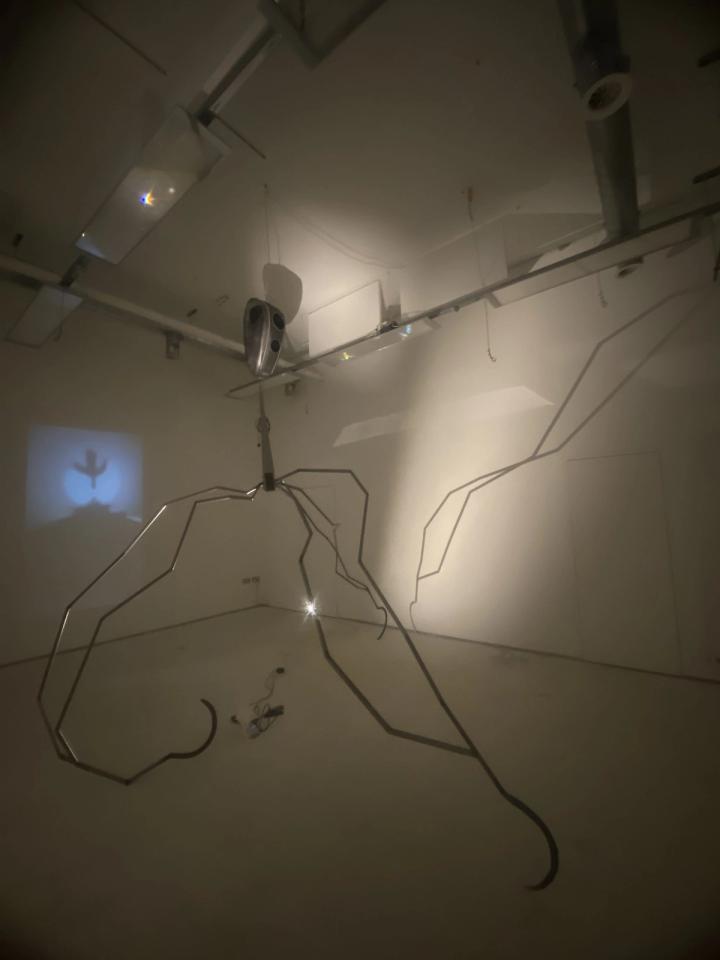 Installation view