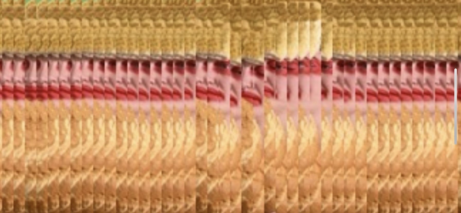 Bread and Roses, 2026, slit-scan film still