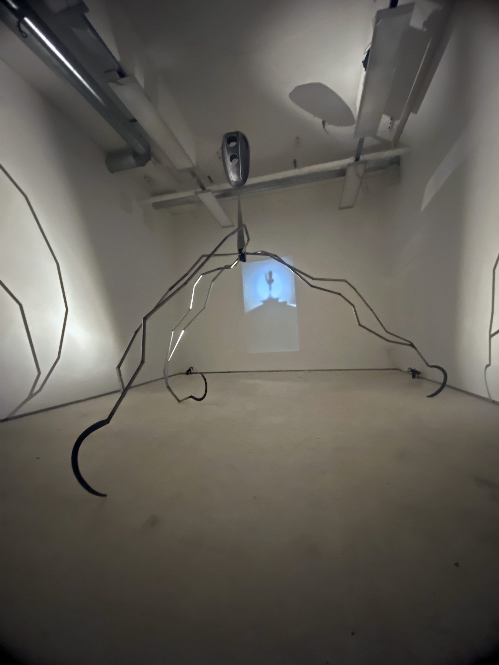 Installation view