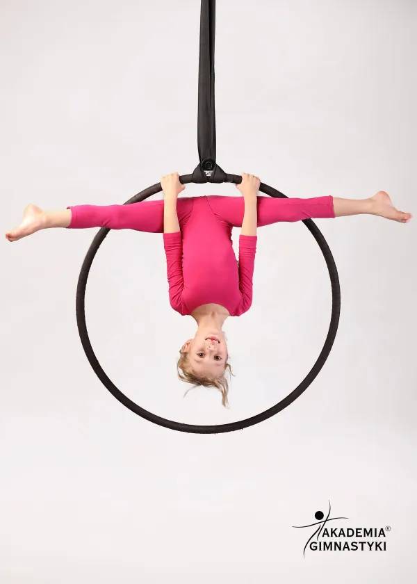aerial hoop